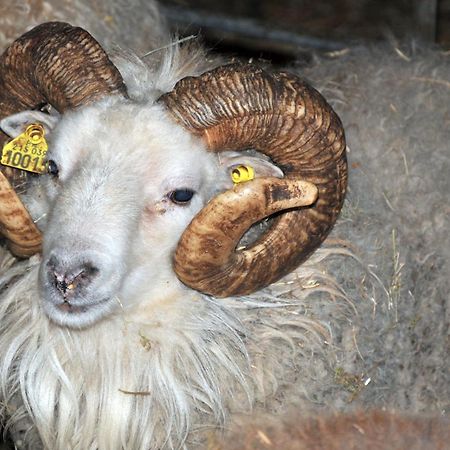 Вілла La Ferme De Flo' Evry  Екстер'єр фото