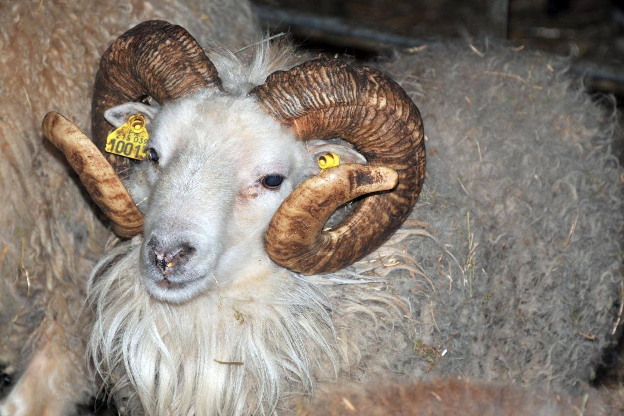Вілла La Ferme De Flo' Evry  Екстер'єр фото